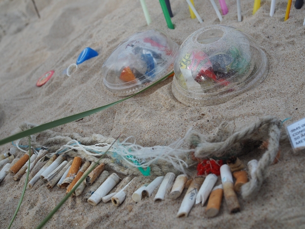 Lietuvos pajūryje šiukšlintojai palieka ne tik nuorūkų: dauguma šiukšlių – iš plastiko