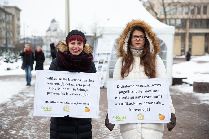 Žmogaus teisių gynėjai Seime vėl ragina ratifikuoti Stambulo konvenciją