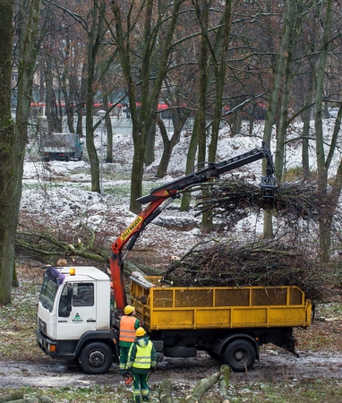 Reformatų sodo tvarkymo ėmėsi medkirčiai
