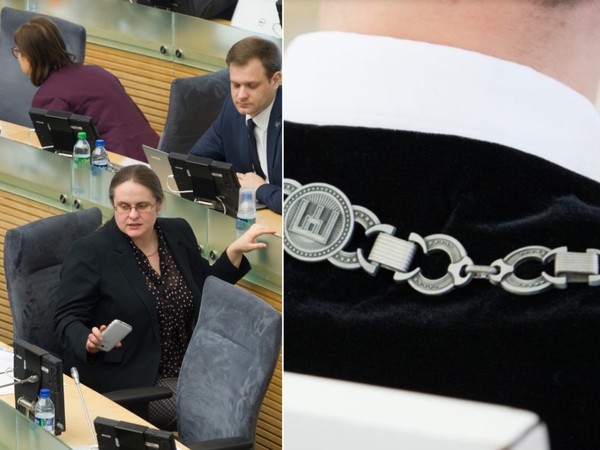 Seimas kreipėsi į Konstitucinį Teismą dėl teisėjų kratų ribojimo
