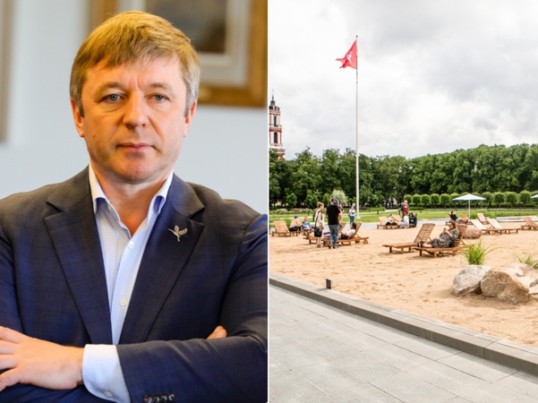 Kultūros komitetas nutarė neklausti Vyriausybės nuomonės dėl Lukiškių aikštės