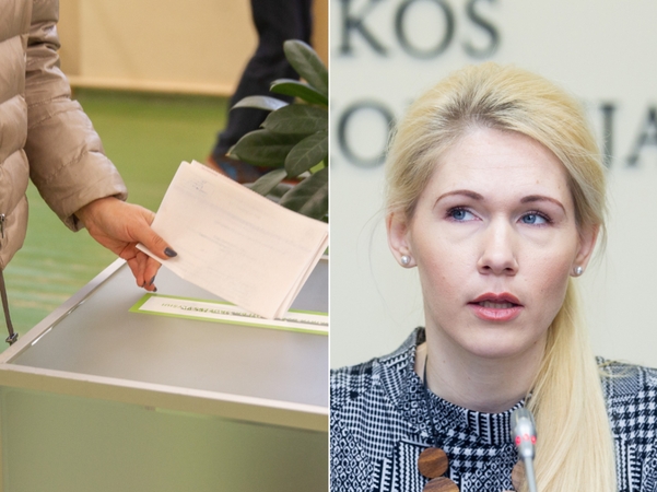 VRK vadovė: aktyvumo pakanka, kad Pasaulio lietuvių apygarda išliktų
