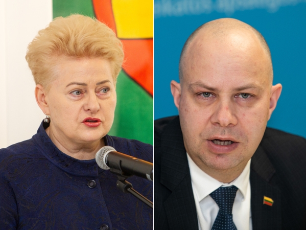 A. Veryga apie D. Grybauskaitės kritiką: zoologiniai palyginimai – nesolidūs