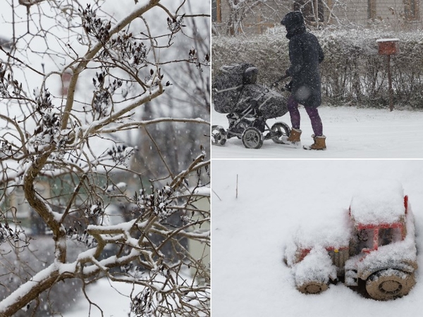 Meteorologas: pirmasis visoje Lietuvoje iškritęs sniegas – vėlyvas