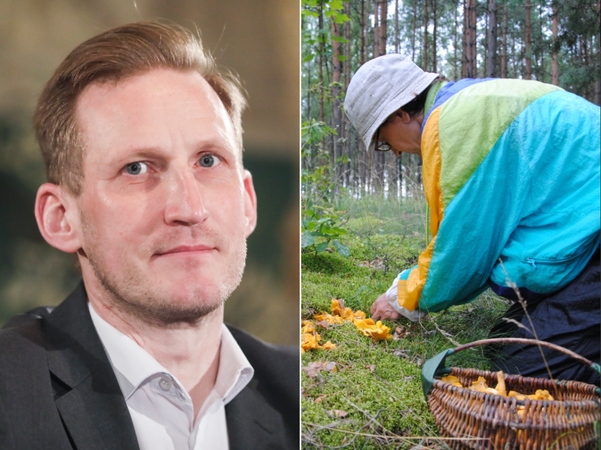 Socialdemokratas L. Jonauskas: miškuose pradės kilti tvoros