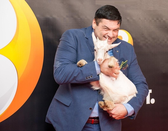 V. Cololo ieško šeimininkų savo raudonojo kilimo damai – ožkytei