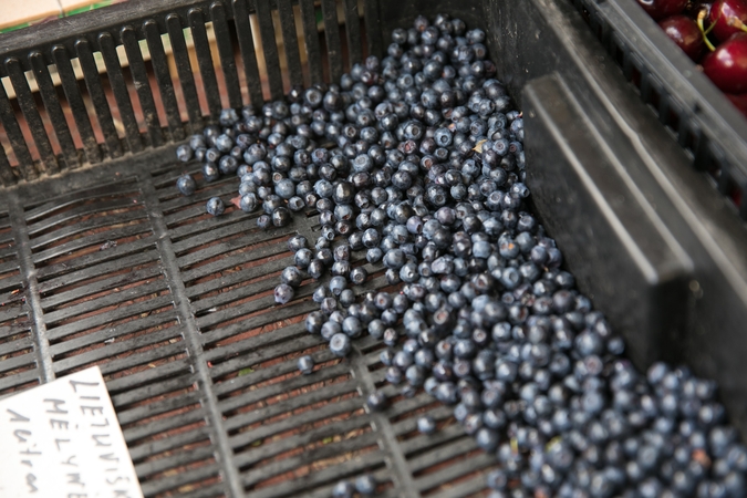 Grybų ir uogų perdirbėjai dėl karo prarado iki 80 proc. produkcijos