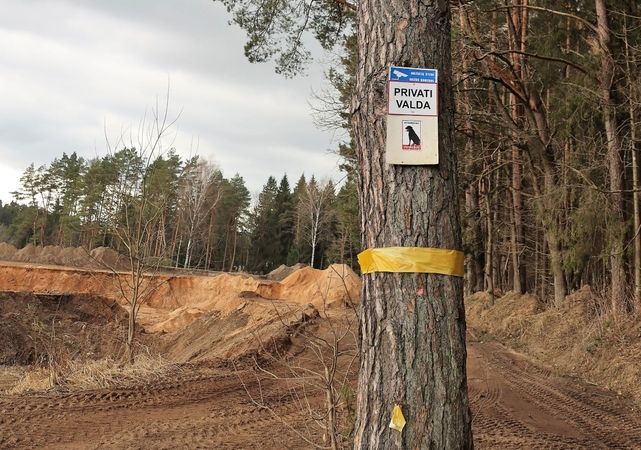 Veiksmai: žvyro kasėjai Pakarklės miške turi verslo interesų ir jau vykdo naudingųjų iškasenų žvalgybą.