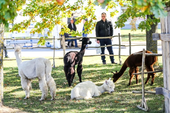 Prasidėjo paroda, kuria tikimasi sumušti pernykštį rekordą