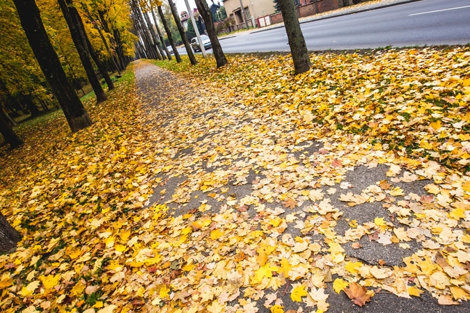 Nuotaiką dėl šiltų orų gadins nebent žvarboko vėjo gūsiai