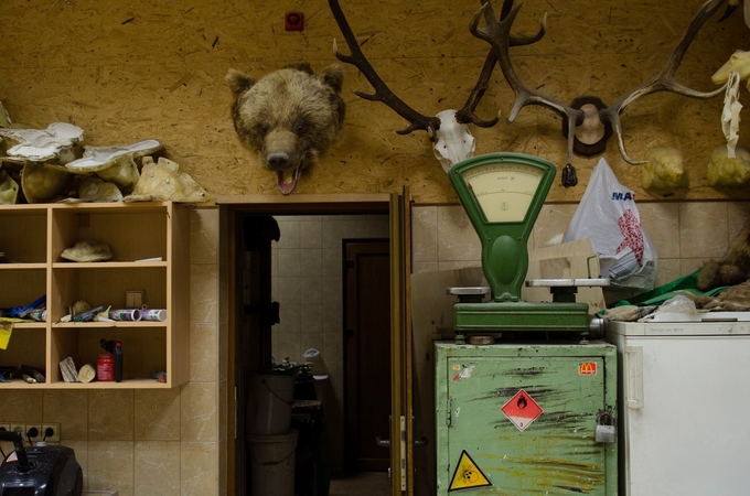 Kauno apskrities viešojoje bibliotekoje – nemokamas filmas „Animus animalis“