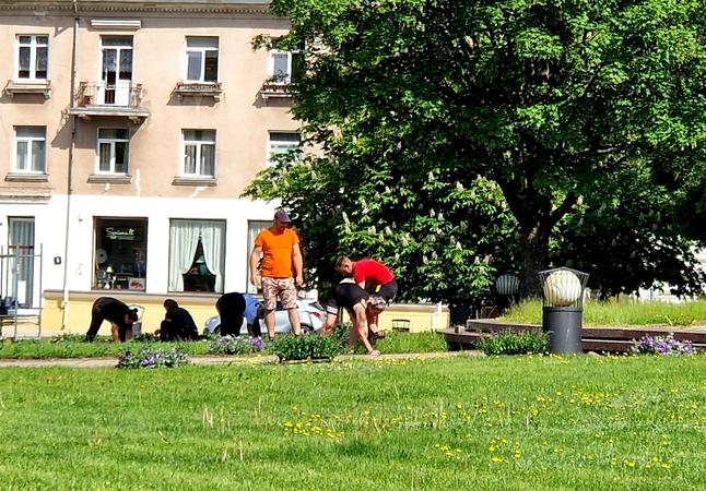 Startas: gėlės imtos sodinti ir prie skulptūros „Neringa“.