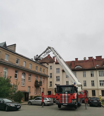 Reginys: porą valandų trukusiai gyvūno gelbėjimo operacijai ugniagesiai naudojo brangiai kainuojantį bokštelį.