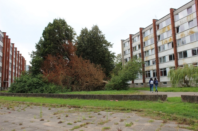 Anksčiau studentai linksminosi, dabar – dirba