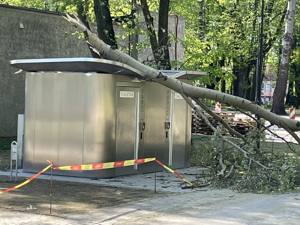 Incidentas: pasenę medžiai jau ne pirmąkart parke pridaro bėdų, o šį kartą žala atsieis tūkstančius eurų.