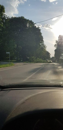 Raudondvario plente ant kelio nuvirto dalis medžio