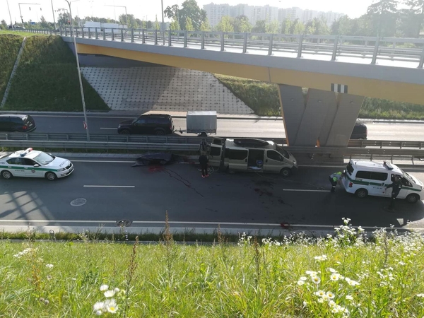 Vilniuje briedis sukėlė chaosą: gyvūnas nukrito nuo viaduko