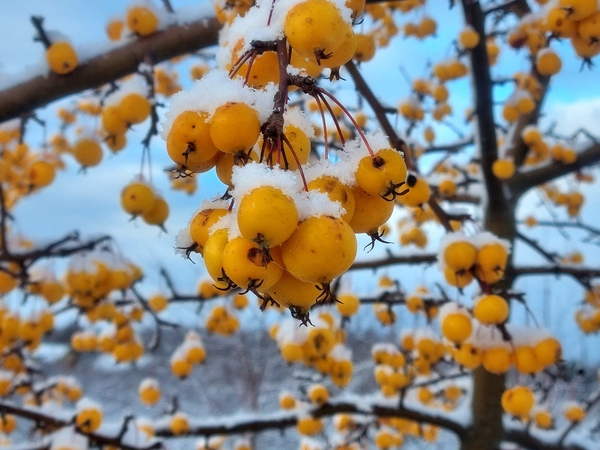 Vyksta savotiškas rudens ir žiemos pasistumdymas: dėl oro sąlygų – perspėjimas (papildyta)