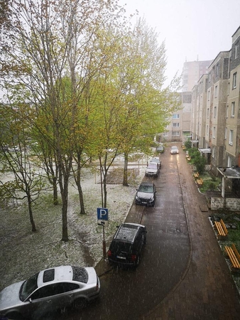 Šeštadienį Lietuvoje ne tik lijo, bet ir snigo (vaizdo įrašas)