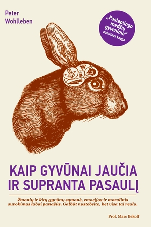Žiurkės gailisi savo poelgių, o šarkos – neištikimos. Ar žinojote? (knygos apžvalga)