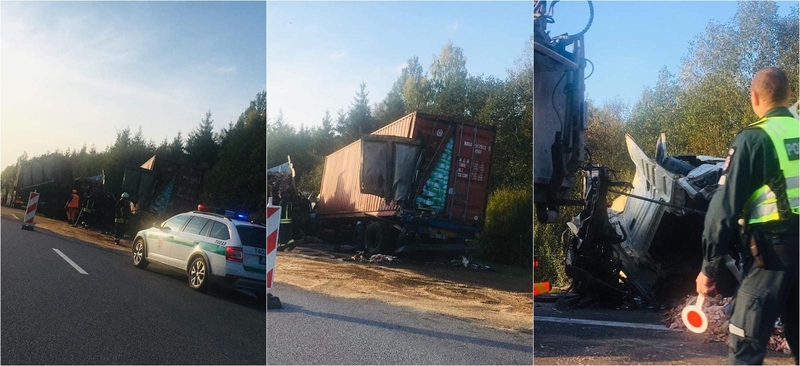 Netoli Klaipėdos – dviejų vilkikų avarija: pabiro gyvūnų liekanos