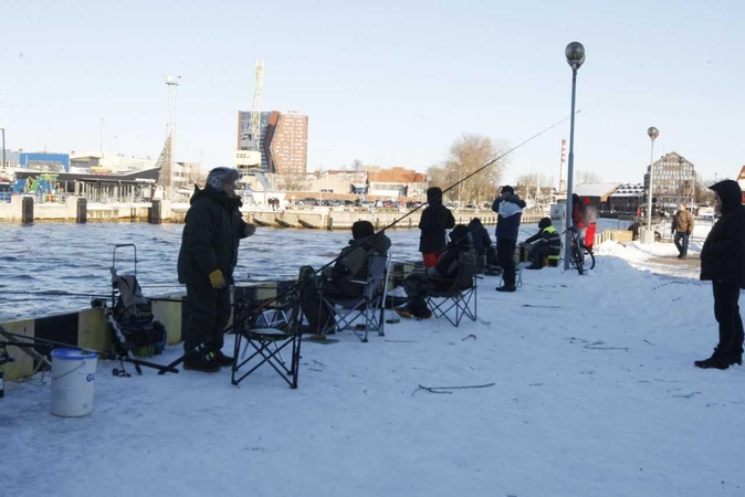 Stintų žvejyba uostamiestyje – „ant bangos“