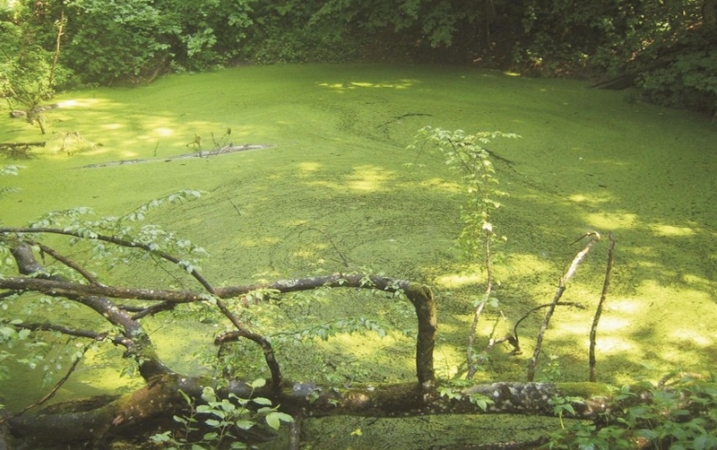 Gelionių duobė