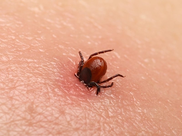 Asociatyvi nuotr.