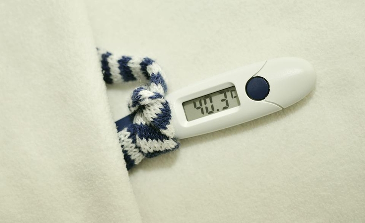 Gyvsidabrio era baigėsi: kaip išsirinkti tinkamiausią termometrą?