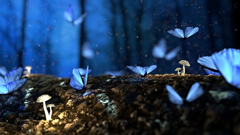 Dienos horoskopas 12 Zodiako ženklų (rugsėjo 28 d.)
