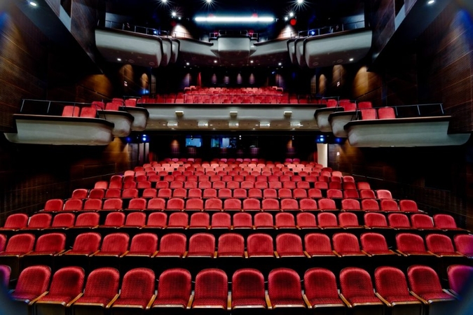 Seimo komitetas sutinka, kad savivaldybės paslaugas be konkurso teiktų ir teatruose