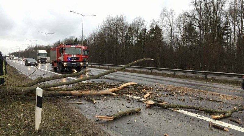 Stiprus vėjas verčia medžius, nutraukia elektros laidus: kibirkščiuojančius laidus pūtė link pastato