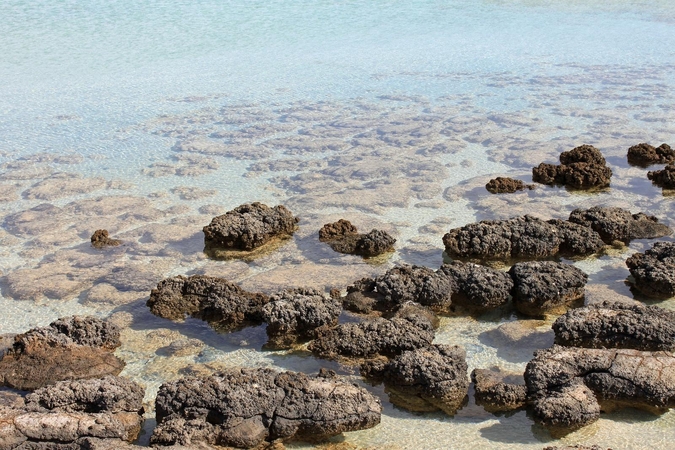 Asociatyvi nuotr.