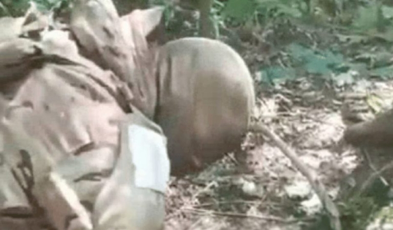 Ukraina atlieka tyrimą dėl žiaurios kario egzekucijos: siekia nustatyti ne tik žudiko tapatybę