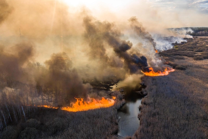 Ukraina: gaisrai Černobylio zonoje branduolinių atliekų saugyklai – nepavojingi