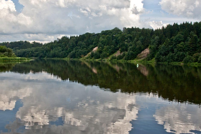 Nemune naikinamos kraujasiurbių upinių mašalų lervos