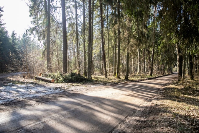 Lankoma: į Pakarklę pasigrožėti gamta nuolat traukia žmonės.