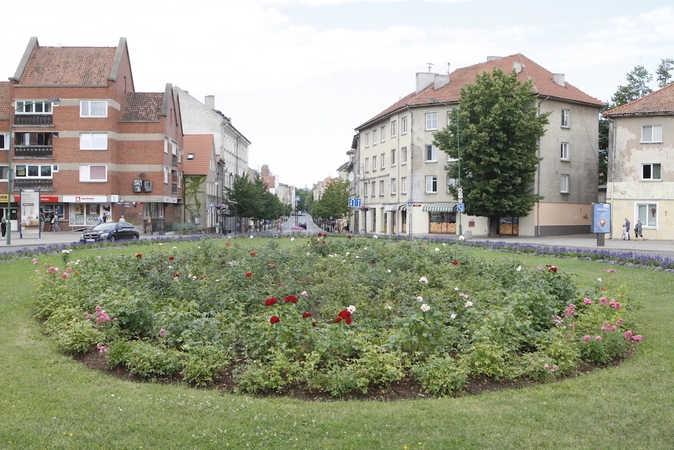 Rožyne Klaipėdoje – mažiau žiedų