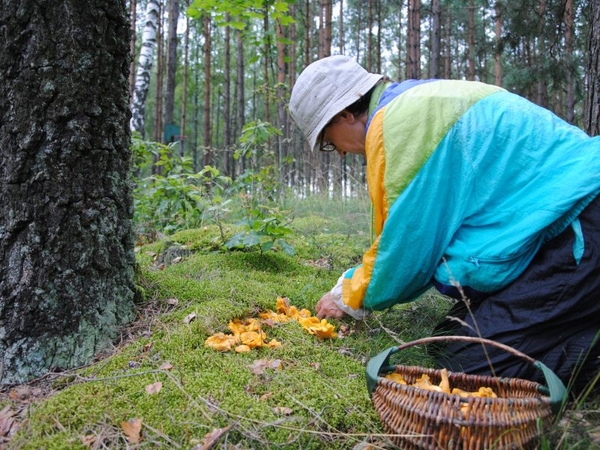 Pareigūnų patarimai: ką reikia žinoti einant į mišką ir kaip elgtis pasiklydus?