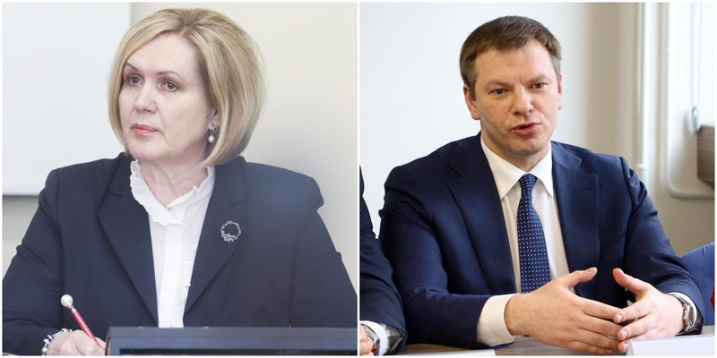 K. Krupavičienė ragina netvirtinti V. Šapokos finansų ministru