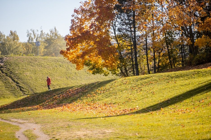 Orai: artimiausios dienos – šiltos ir saulėtos