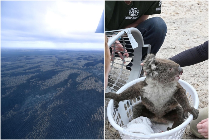 Australijoje iškrito ilgai lauktas lietus: ar ugniagesiams pavyks suvaldyti gaisrus?