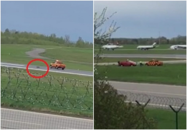 Po žiauraus susidorojimo su lape oro uosto darbuotojas išėjo iš darbo