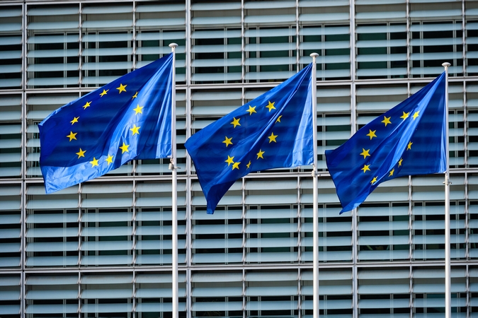 Seimas pritarė nuolatinio atstovo ES įstatymui: atsivėrė galimybė turėti atstovą JAV kongrese