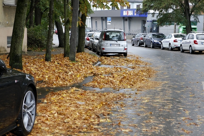 Prapliupus lietui, krintantys lapai pridaro bėdų: technika gatvėse sukinėsis dažniau