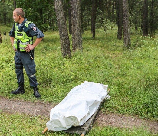 Nelaimė Panevėžyje: miškelyje rastas miręs vyras