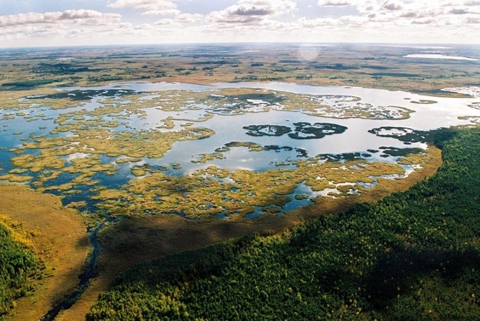 Ilgametis Žuvinto rezervato vadovas A. Pranaitis atsisako pareigų, dirbs ekologu