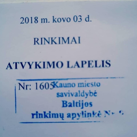 Nustebino supainiota data: kodėl rinkimai vyksta pernai?