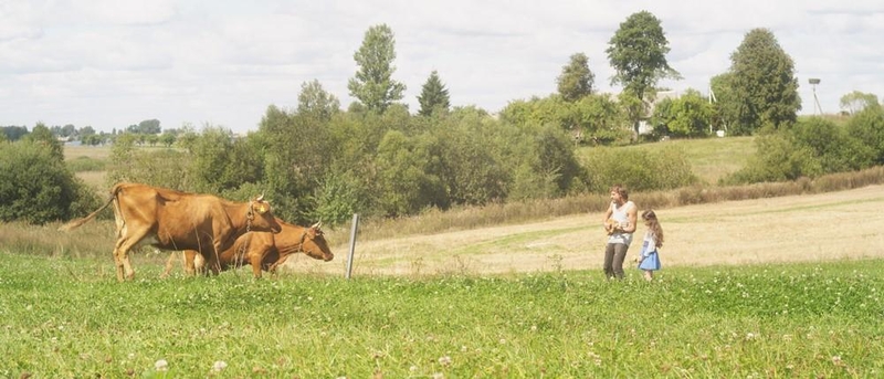 Filmavimų metu M. Jankavičius stebino koncertu karvėms