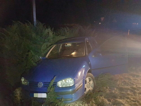 Į krūmus įvažiavusį girtą vairuotoją nustebino ginkluoti pasieniečiai 